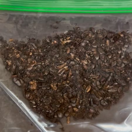 crushed coffee beans in a ziplock bag