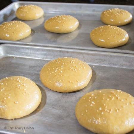 hamburger buns brushed with egg and sprinkled with sesame seeds